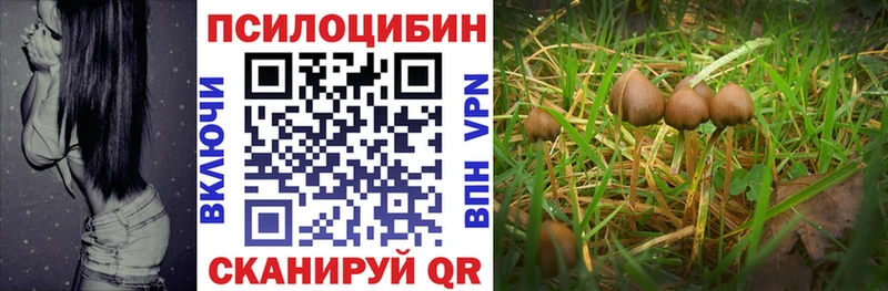 MEGA как зайти  Ярцево  Галлюциногенные грибы Magic Shrooms 