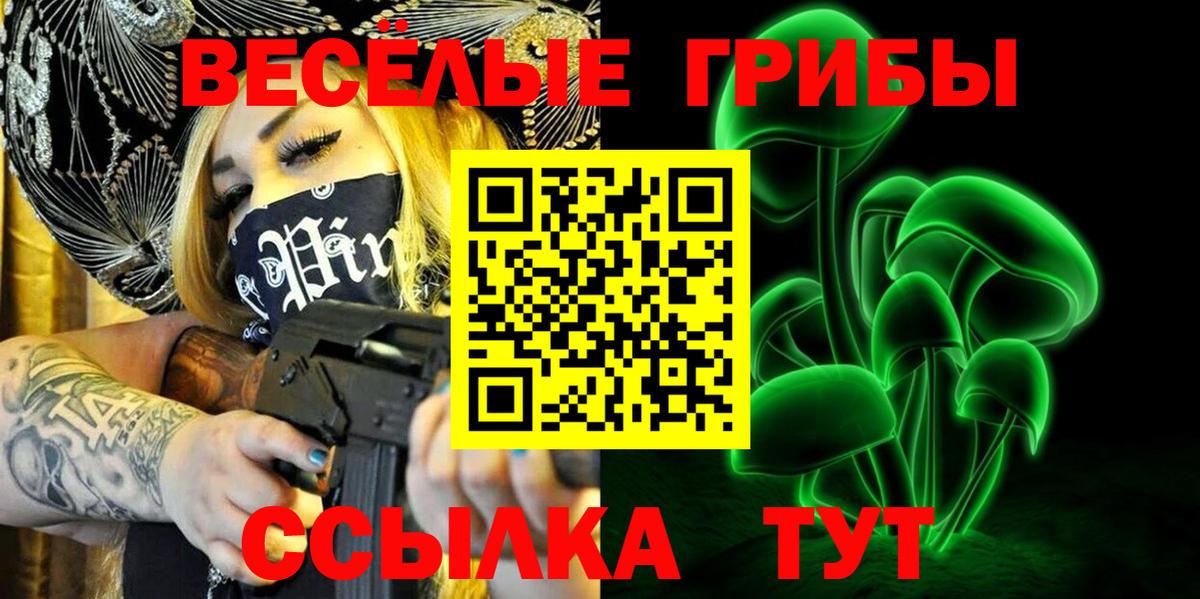 Ярцево  Галлюциногенные грибы Psilocybine cubensis  Вход с VPN 